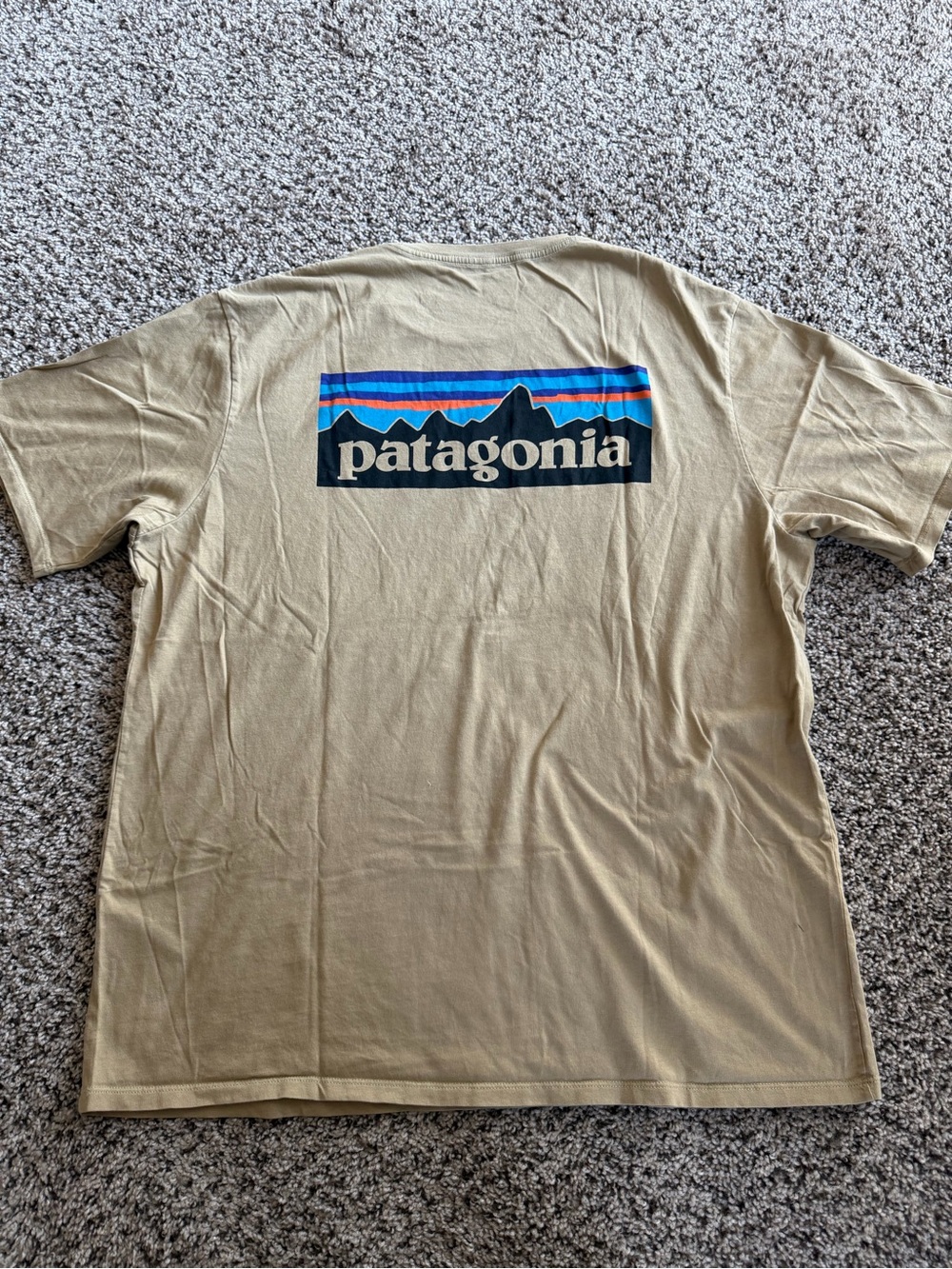 Patagonia Tan Short-Sleeve Logo Tee with Blue Accent